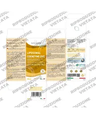 Coenzima Q10 Liposomiale Liquido - 250 ml